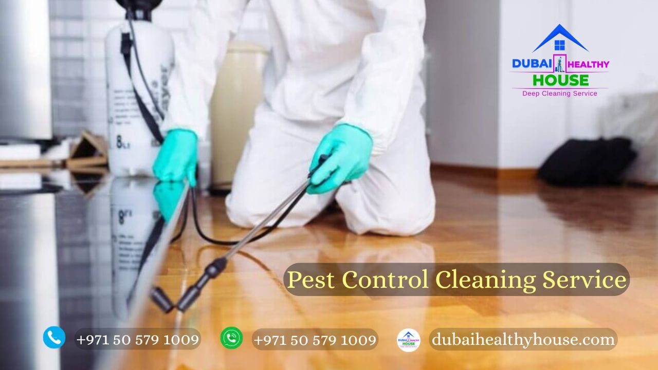 Pest Control Cleaning Service 2