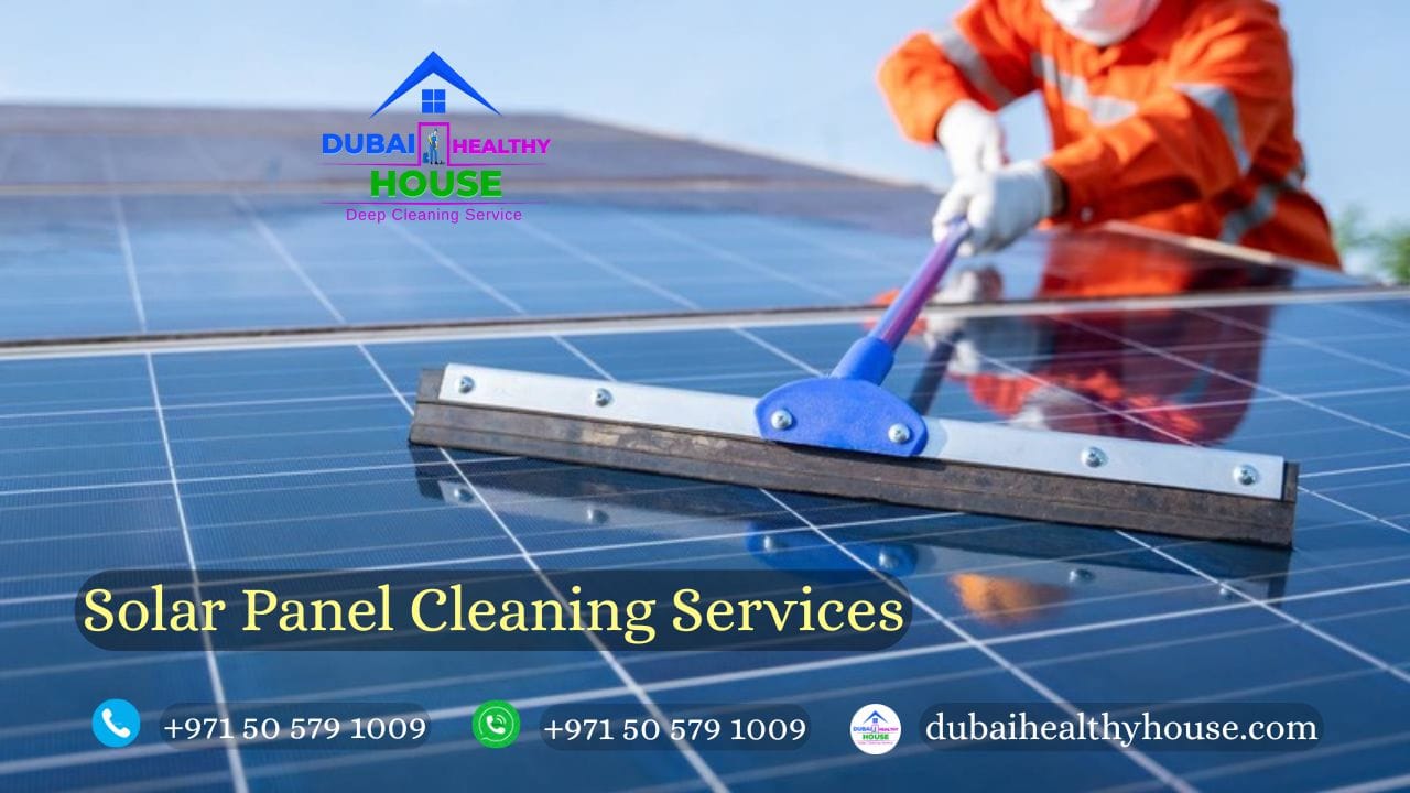 Solar Panel Cleaning Services 2