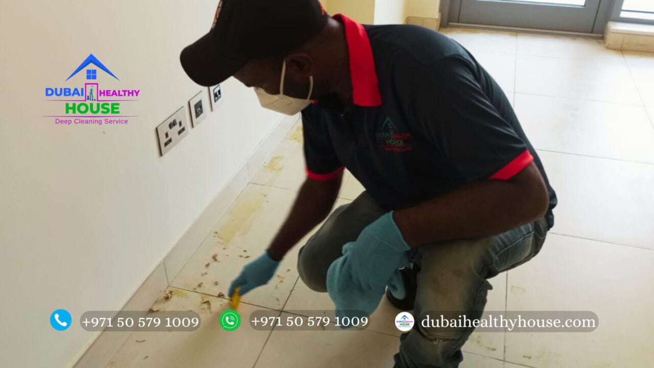 Floor Cleaning Services 1