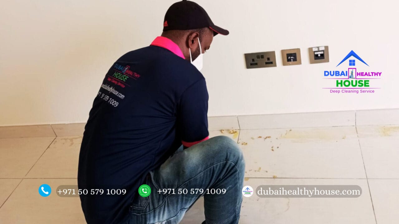 Floor Cleaning Services 4
